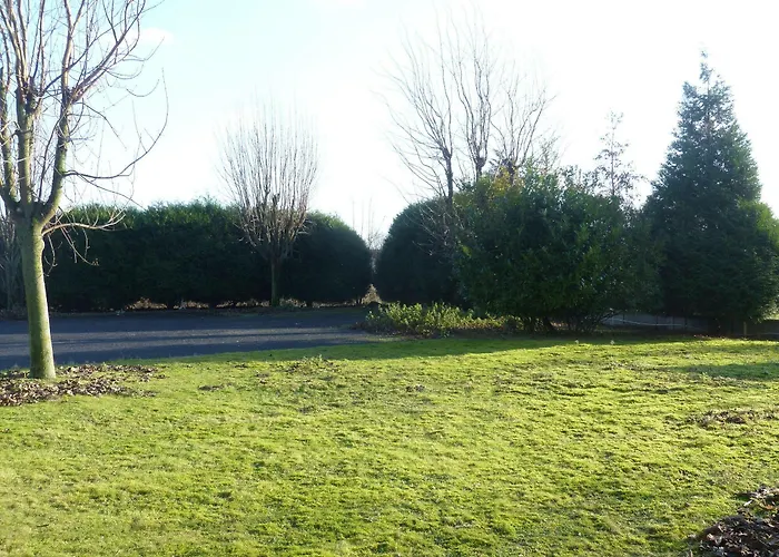 The Originals Access, Moustache, Seclin